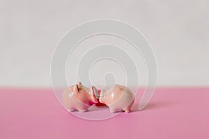 Two pigs are kissing on a white and pink background. Composition for Valentine`s Day. Flat lay, copy space