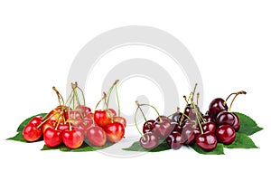 Two piles of diffrent cherries