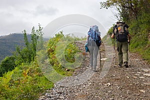 Two pilgrims on Camino de Santiago. Couple of tourists on the hill. Man and woman with backpack and sticks walk in mountains.