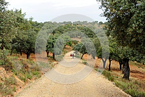 Two pilgrims in the Via de la Plata, El Berrocal in Almaden de la Plata, Sevilla province, Andalusia, Spain photo