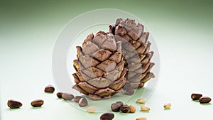 two pine cones with pine nuts on a green background, close-up