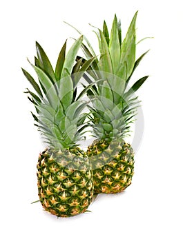 two pineapples isolated for banner sign, menu card for vegan vegetarian salad bowls with vegetables and fruits
