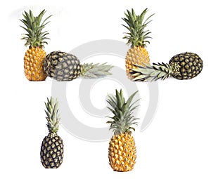 Two Pineapples isolated on white