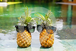 Two pineapples with sunglasses chilling by the pool photo