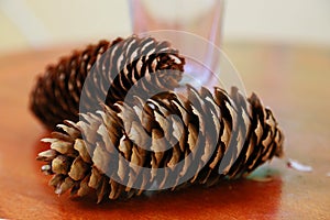 Two pinecones