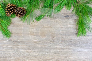 Two pinecones on white pine boughs with copy space
