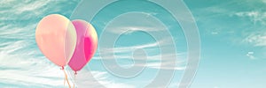 Two pink balloons on panoramic background, love and couple concept