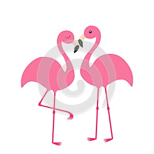 Two pink flamingo set. Exotic tropical bird with eyes. Zoo animal collection.