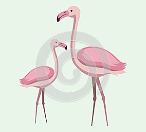 Two pink flamingo set. Exotic tropical bird. Zoo animal collection. Cute cartoon character