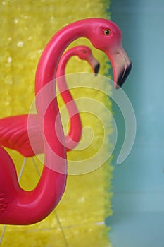 Two pink flamingos