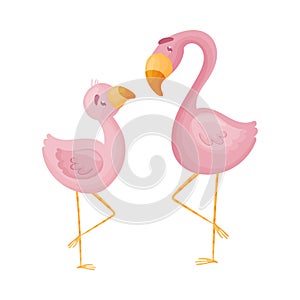 Two pink flamingos. Vector illustration on white background.