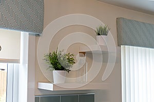 Two Plants & jar on Kitchen Shelving