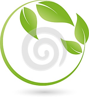 Two plants, leaves, wellness and naturopathic logo photo