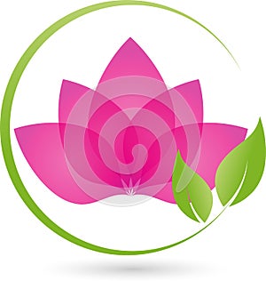 Two plants, leaves, wellness and naturopathic logo photo