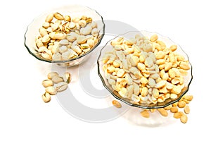 Two plate with many different nuts photo