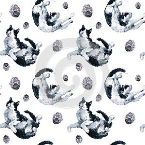 Two playing bicolor black and white cats and pink paws seamless pattern. Watercolor painting on white background