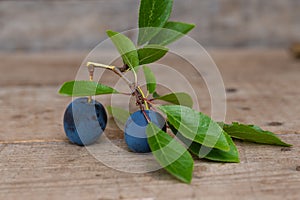 Two plums with leafs on wooden background