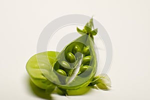 Two pods of green peas close-up. Closed and opened. Open doors with round bright green peas. White background.