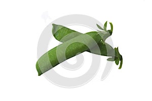 Two pods of green peas on a white background