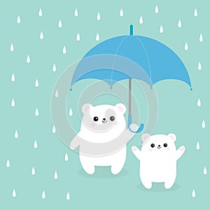 Two polar white small little bear cub holding umbrella. Rain drops. Cute cartoon baby character. Arctic animal collection. Love ca