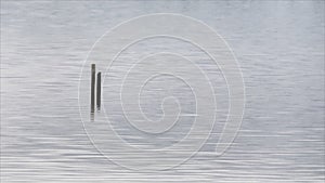 Two poles stuck in the sea water for mooring boats.