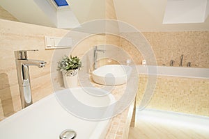 Two porcelain basins