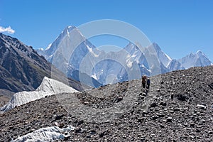 Two porters walk toward to Concordia camp, K2 trek, Pakistan