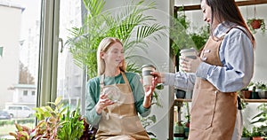 Two positive women employee smiling, looking each other, discussing about plant in pot, drinking coffee during break at