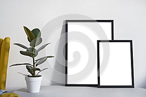 Two Posters in different sizes in black frame in nordic stylish modern interior, ficus, living room. Empty space for design layout