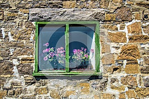 Two pots of flowers in a old vintage green painted window on a stone wall