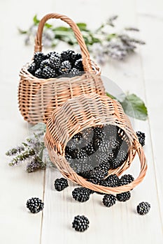 Two pottles of fresh backberry