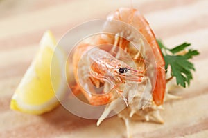 Two prawns on a shell