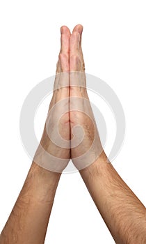Two praying hands isolated on white