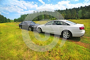 Two prestigious cars on nature