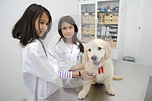 Pretty girls Pretending to be veterinarians. photo