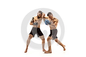 Two professional boxers boxing isolated on white studio background