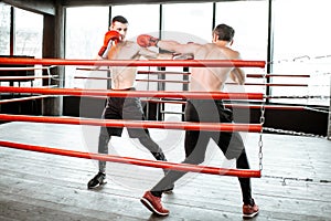 Two professional boxers fighting at the gym