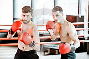 Two professional boxers training at the gym