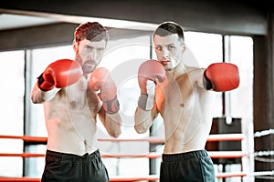 Two professional boxers training at the gym