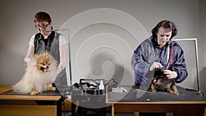 Two professional groomers working with dogs in the office.