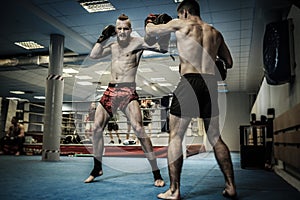 Two professionals fighters training together with punching pads at gym