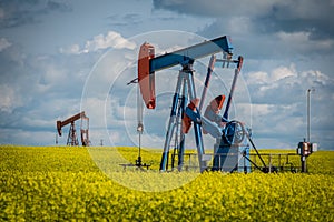 Two pump jacks in a canola field in Saskatchewan, Canada