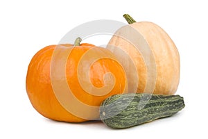 Two pumpkin and marrows.