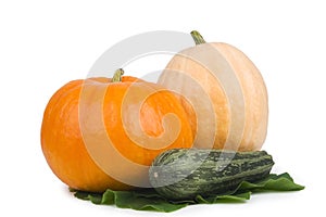 Two pumpkin and marrows.