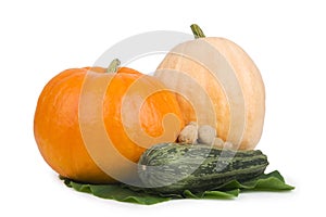 Two pumpkin and marrows.