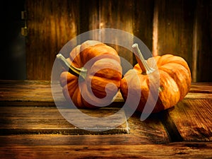 Two Pumpkins