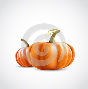 Two pumpkins photo