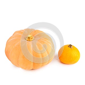 Two pumpkins isolated on a white. There is free space for text