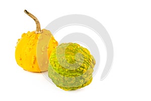 Two pumpkins isolated on a white. There is free space for text