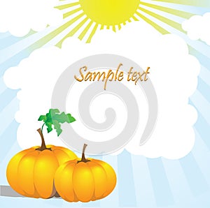 Two pumpkins and leaves in the sun